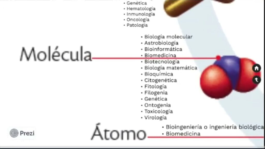 Ramas de la Biología: Explorando Cada Rama de esta Ciencia 2 ramas de la biologia explorando cada rama de esta ciencia 1