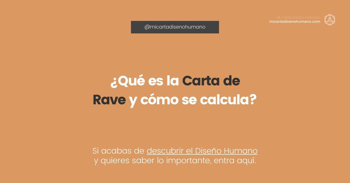 raves definicion caracteristicas y concepto