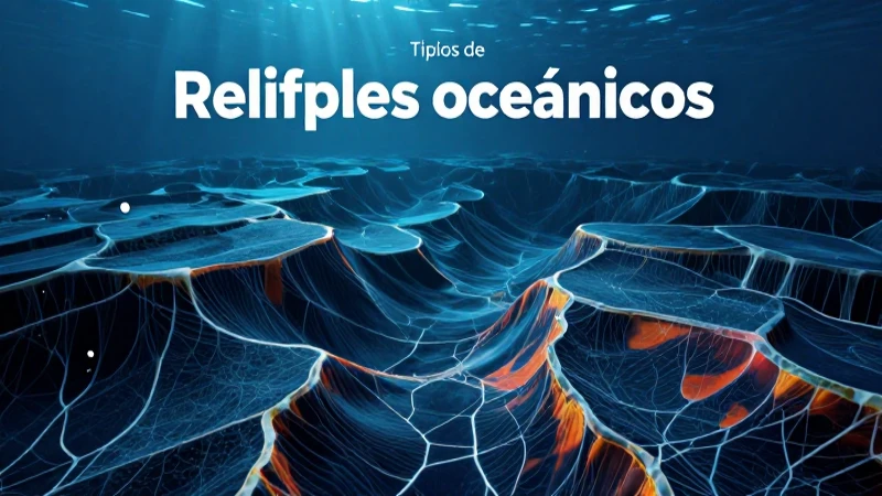 Tipos de relieves de los océanos