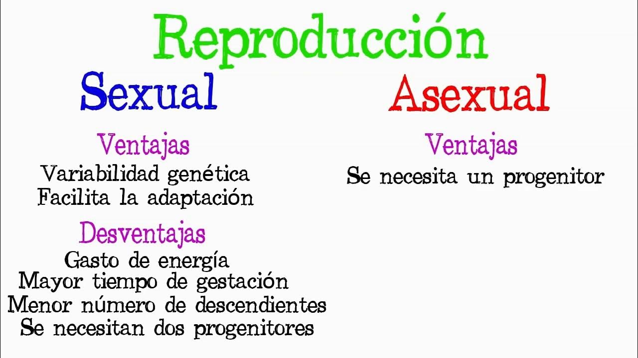 Reproducción sexual: ventajas y desventajas del proceso vital 2 reproduccion sexual ventajas y desventajas del proceso vital