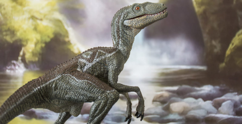 reptiles concepto tipos reproduccion y caracteristicas 1