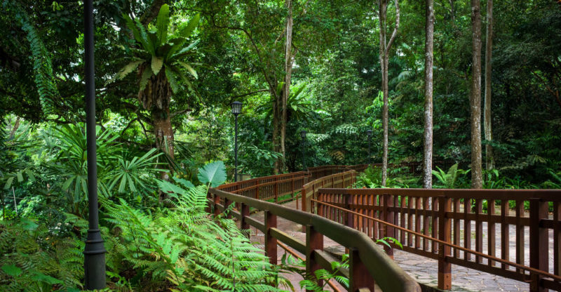 Reserva natural: funciones, tipos e historia de reservas 2 reserva natural funciones tipos e historia de reservas 2
