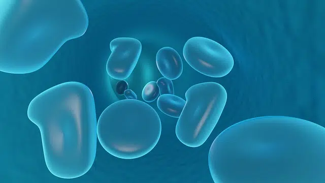 respiracion celular que es tipos definicion y concepto 2