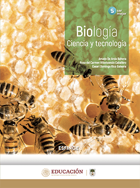 resuelve dudas en biologia ciencias y tecnologia respuestas claras y precisas