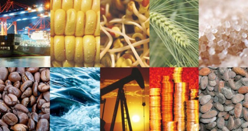 sabes sobre la extraccion y clasificacion de materia prima 1