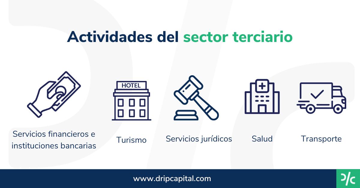 sector terciario concepto areas y ejemplos destacados