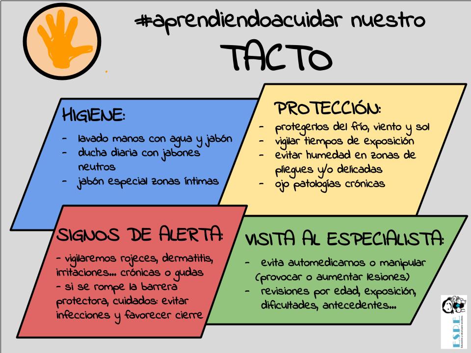 sentido del tacto caracteristicas y como cuidarlo 1