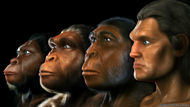 ser humano evolucion historia y caracteristicas clave