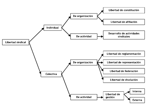 sindicatos concepto historia tipos funciones y ejemplos