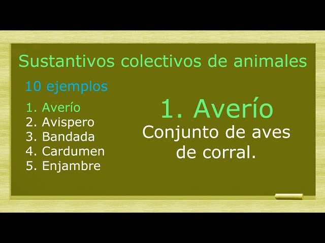 Sustantivo colectivo de perros: 30 Ejemplos de animales 2 sustantivo colectivo de perros 30 ejemplos de animales 1