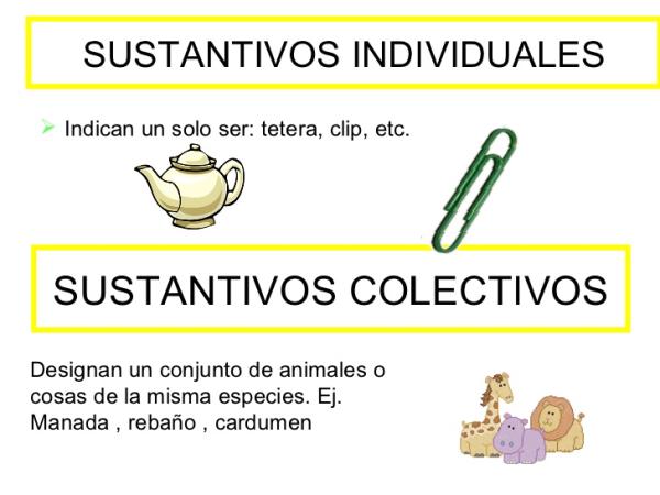 sustantivo individual que son ejemplos y oraciones