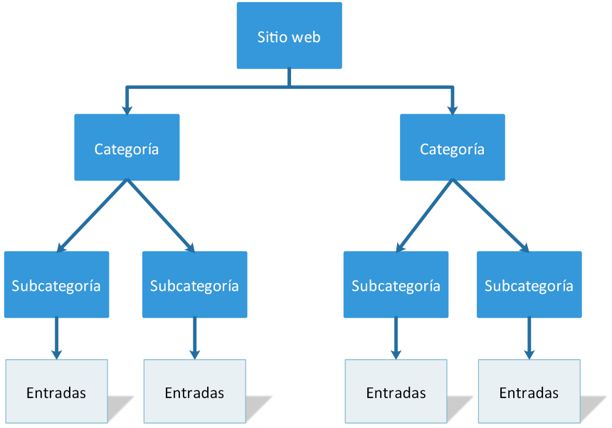 taxonomia concepto niveles de organizacion y objetivos