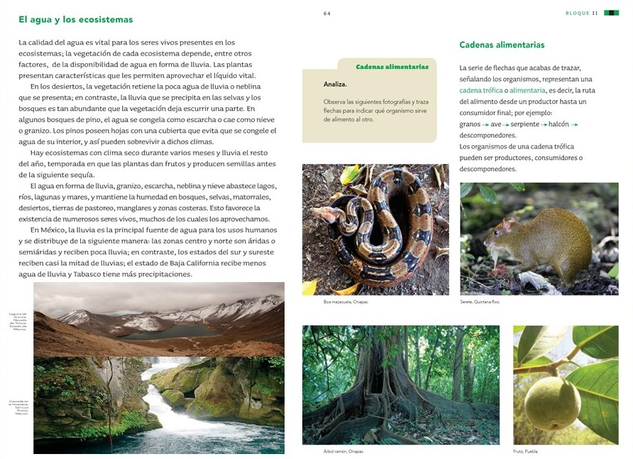 texto expositivo ejemplo de animales y nota enciclopedica