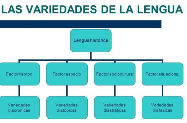 tipos de lenguaje descubre sus variedades y caracteristicas