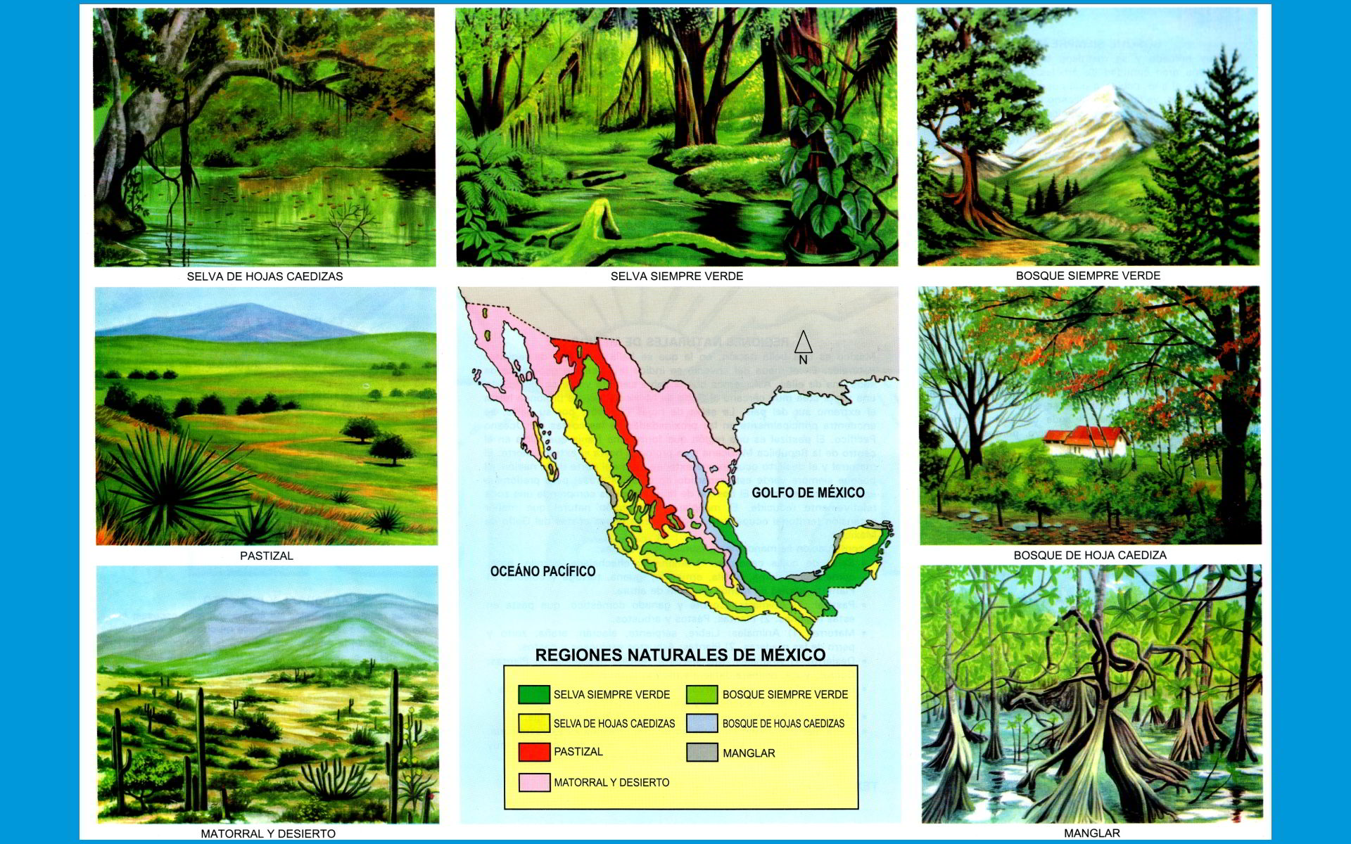 tipos de region caracteristicas y clasificaciones al descubierto