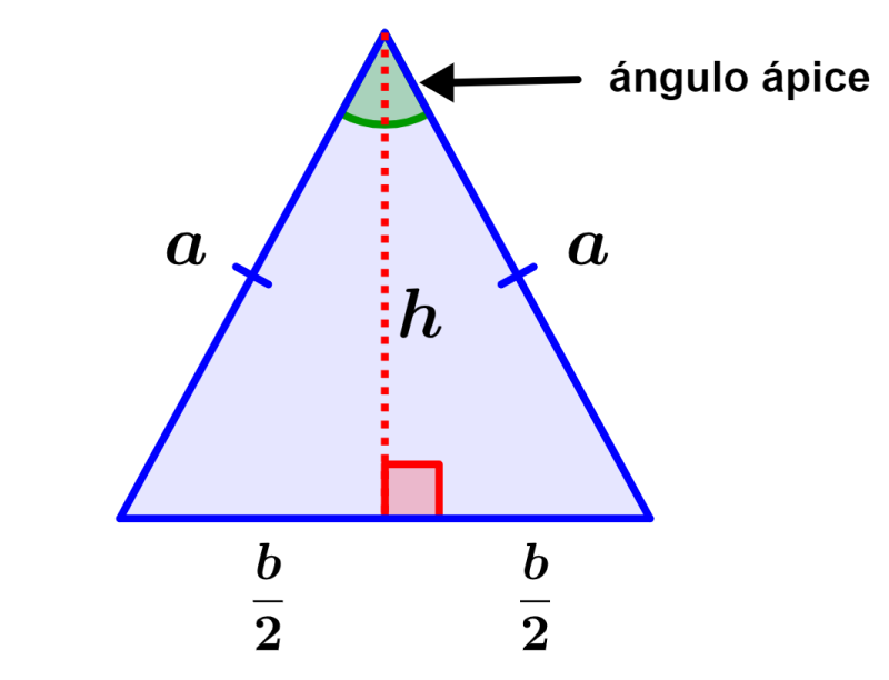 Triángulo isósceles: características, ejemplos e imágenes 7 triangulo isosceles caracteristicas ejemplos e imagenes