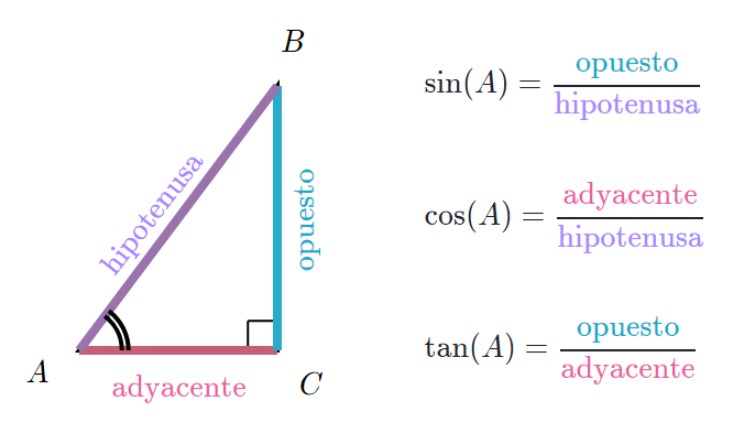 trigonometria definicion clasificacion y conceptos claves