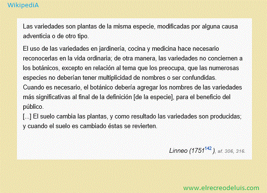 turf definicion historia y concepto explicado claramente
