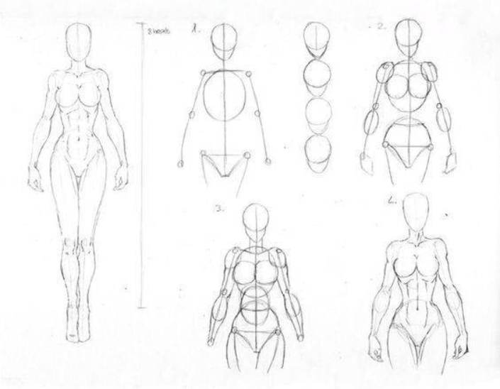 Tutorial para dibujar personajes: guía paso a paso 2 tutorial para dibujar personajes guia paso a paso