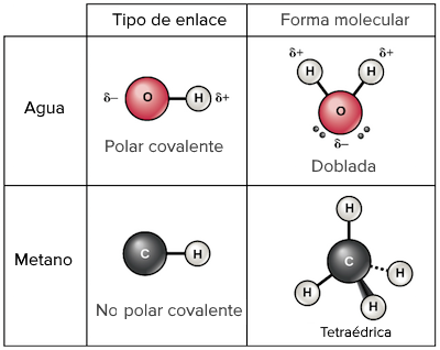 union covalente definicion clases y estructura esencial