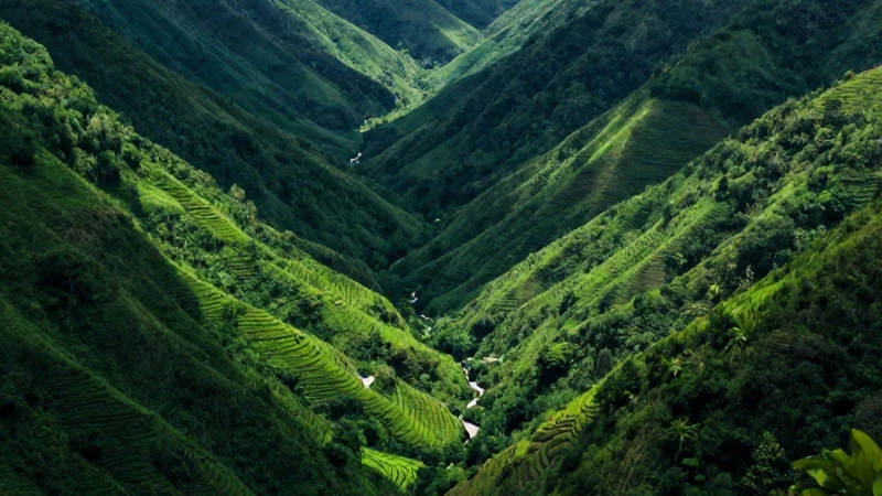Valle: qué es, tipos, definición y concepto explicado 5 Paisaje vibrante, estilo educativo mexicano