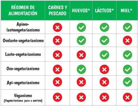 vegetarianos tipos ventajas desventajas y caracteristicas 2