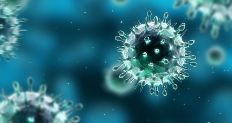 virus que son caracteristicas y clasificacion de tipos 1