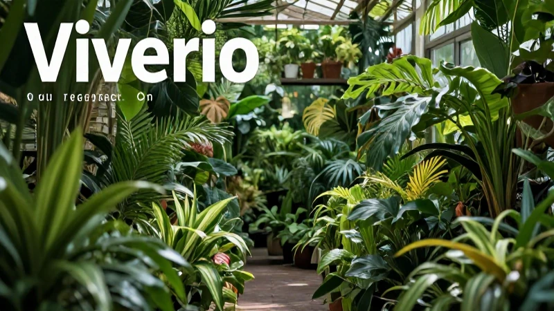 Viveros: Qué es, elementos, definición y concepto esencial 8 Vivero: exuberancia botánica detallada y vibrante
