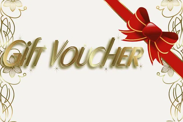 vouchers que es caracteristicas y definicion esencial