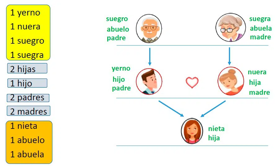 Yerno: Definición, concepto y su significado en la familia 2 yerno definicion concepto y su significado en la familia 2