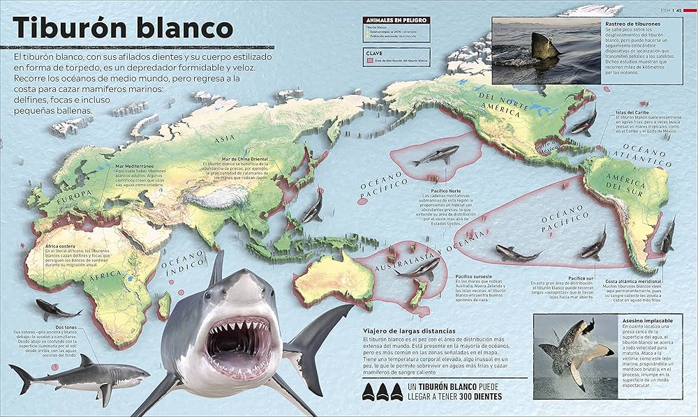 zoologia aprendo en casa con imagenes impresionantes 5
